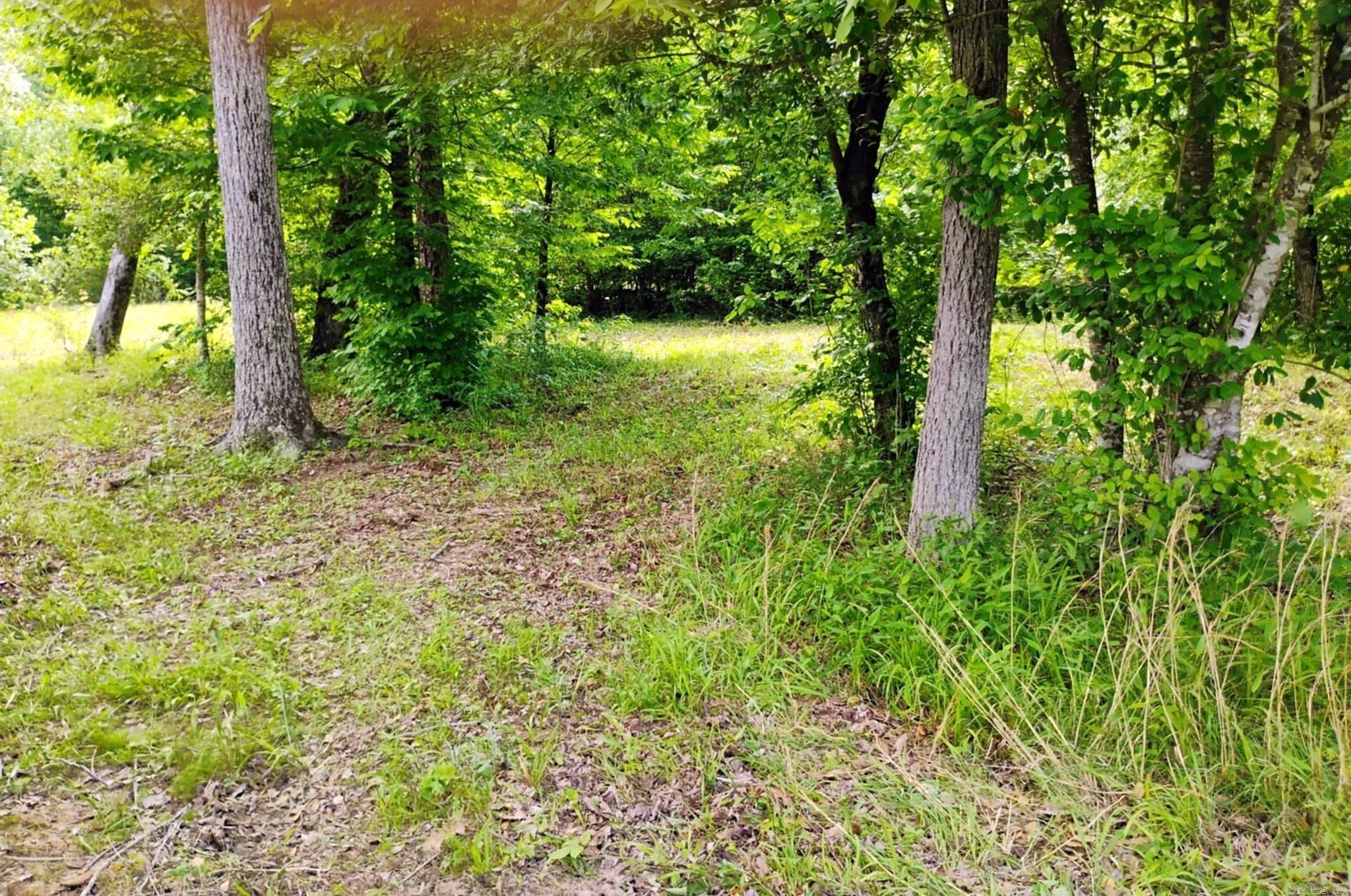 Tract 1  Kulp Road  Boles, AR
