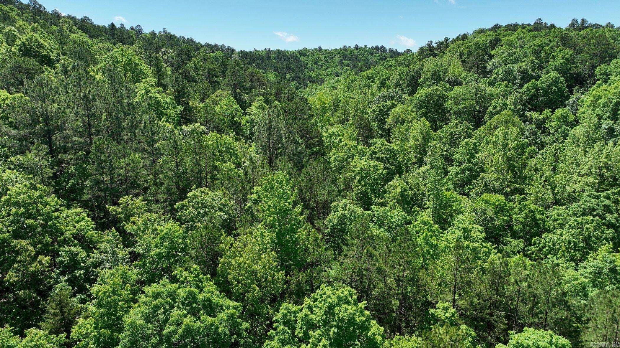 TBD (Lot 9)  Heather Lane  Mena, AR