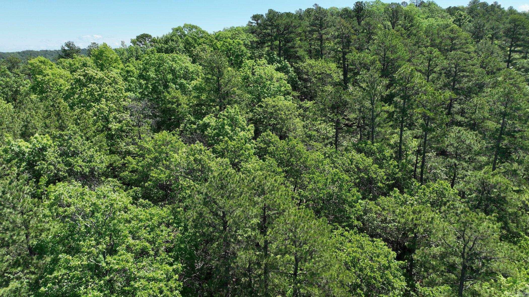 TBD (Lot 9)  Heather Lane  Mena, AR