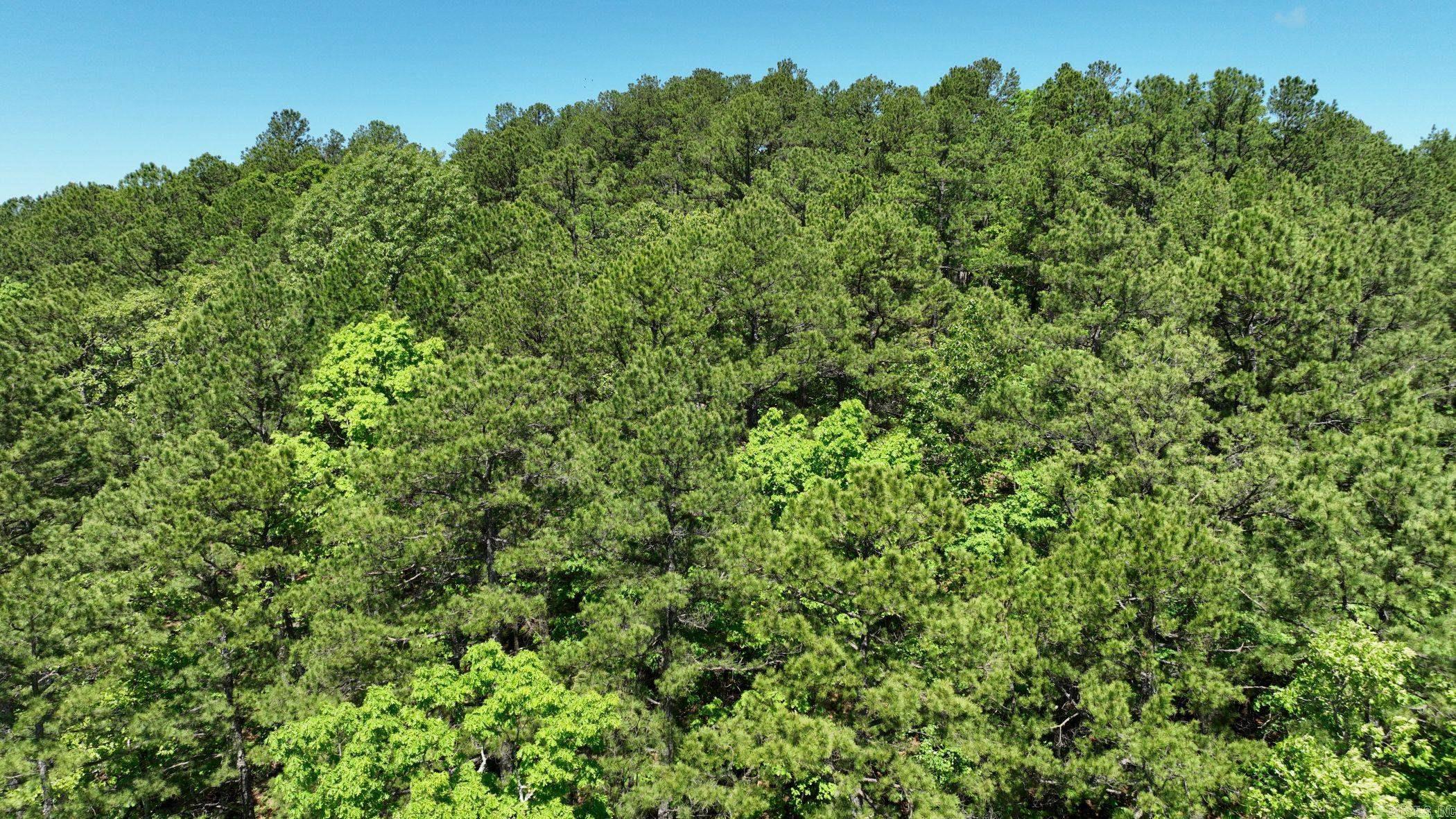 TBD (Lot10)  Heather Lane  Mena, AR