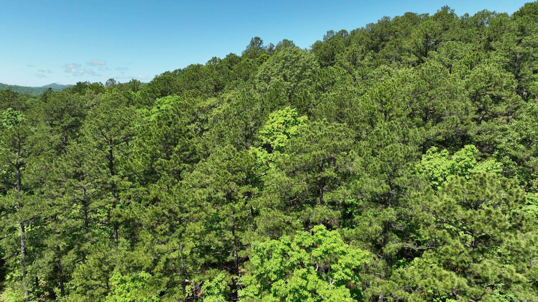 TBD (Lot10)  Heather Lane  Mena, AR