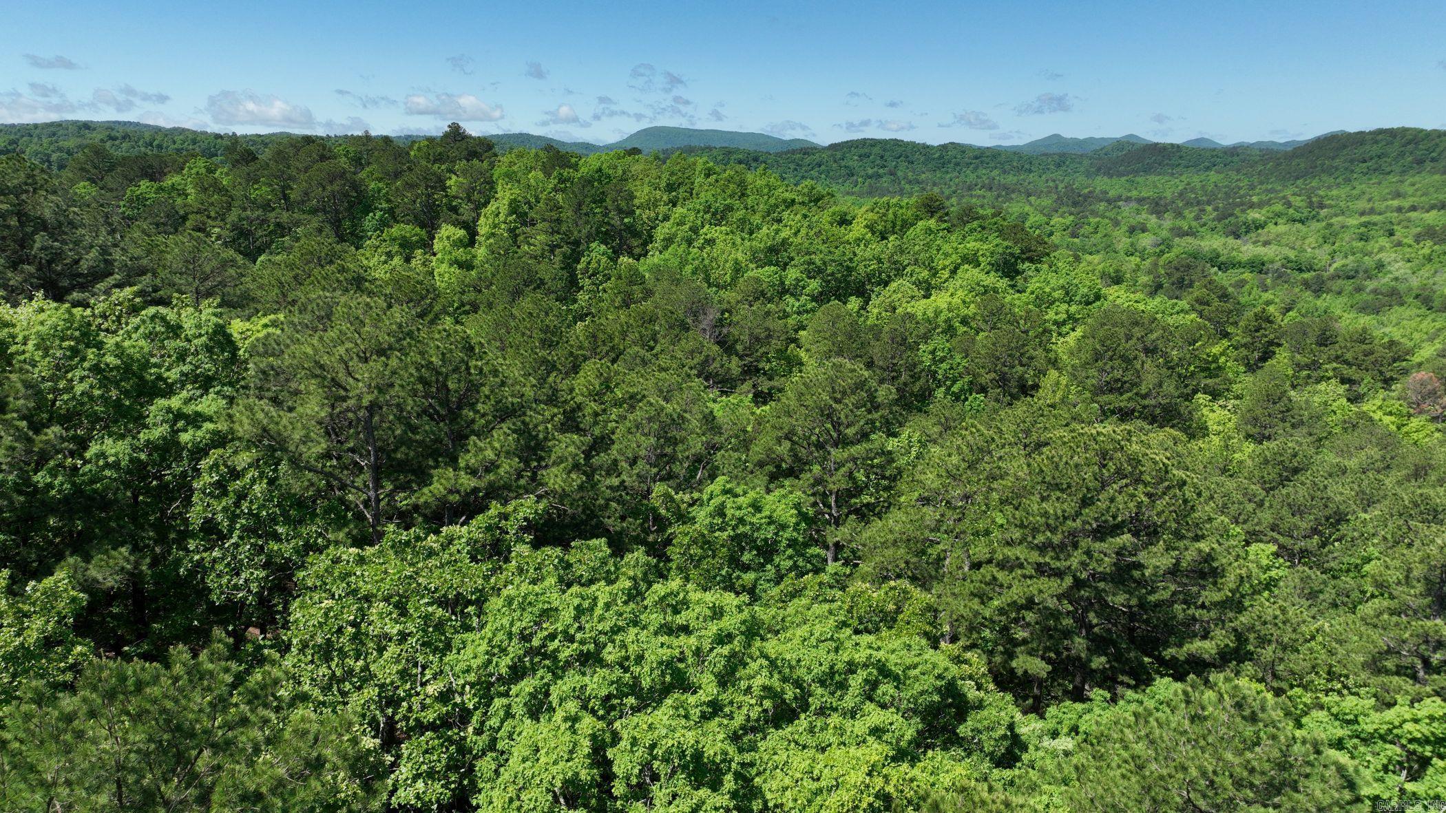 TBD (Lot10)  Heather Lane  Mena, AR