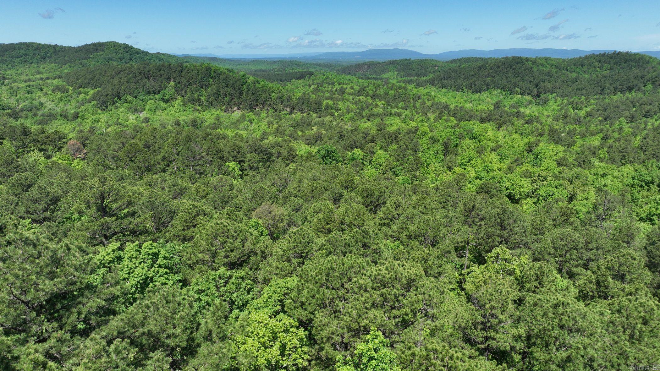 TBD (Lot10)  Heather Lane  Mena, AR