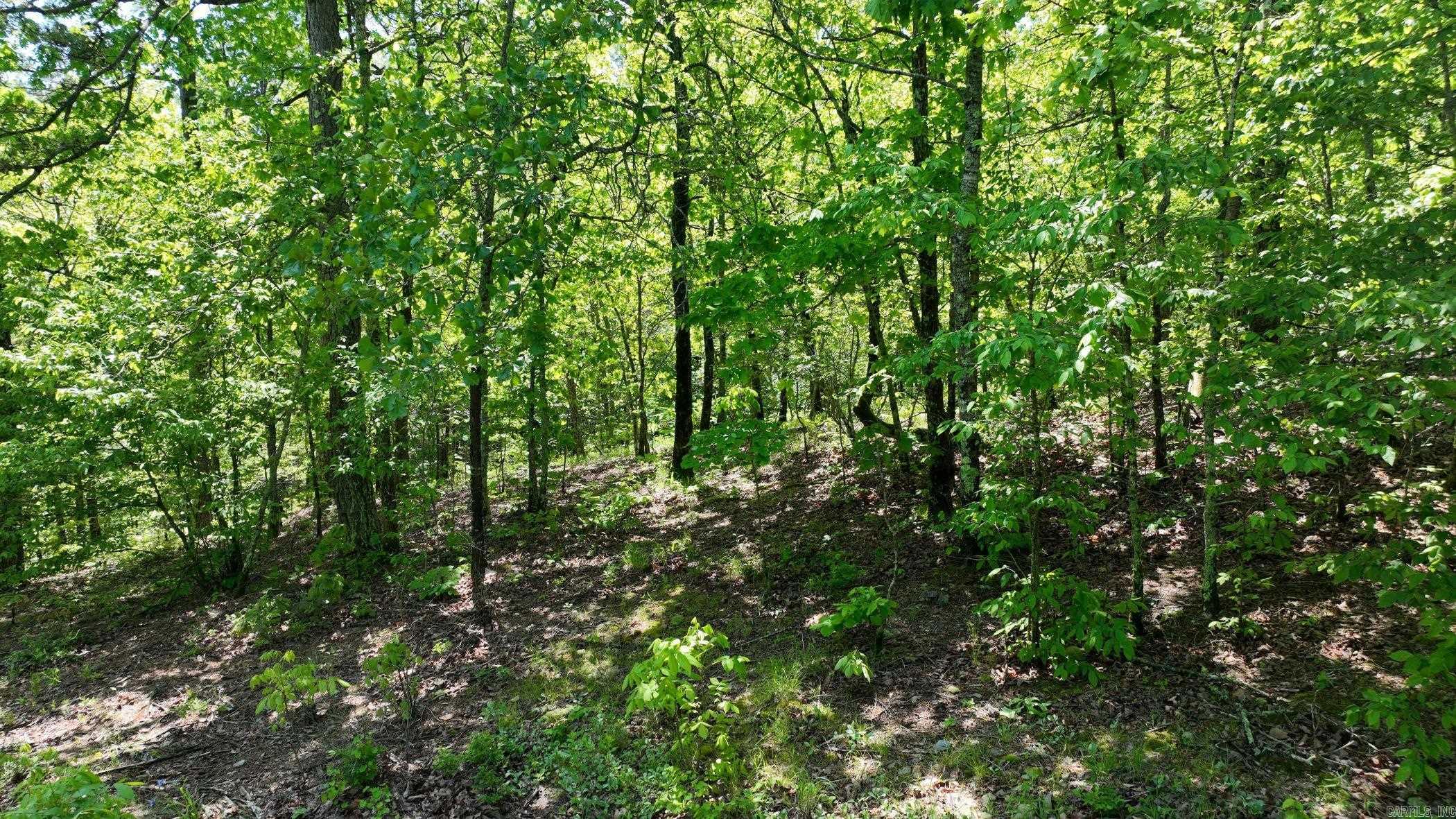 TBD (Lot10)  Heather Lane  Mena, AR