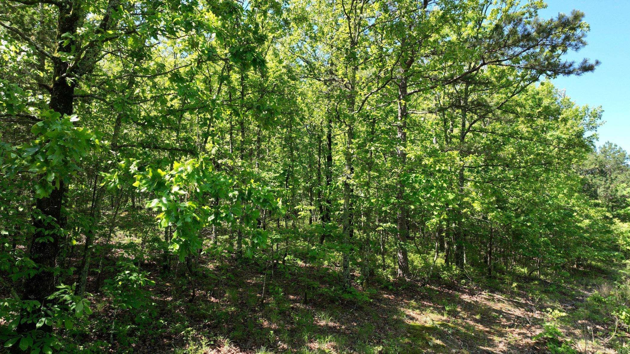 TBD (Lot10)  Heather Lane  Mena, AR