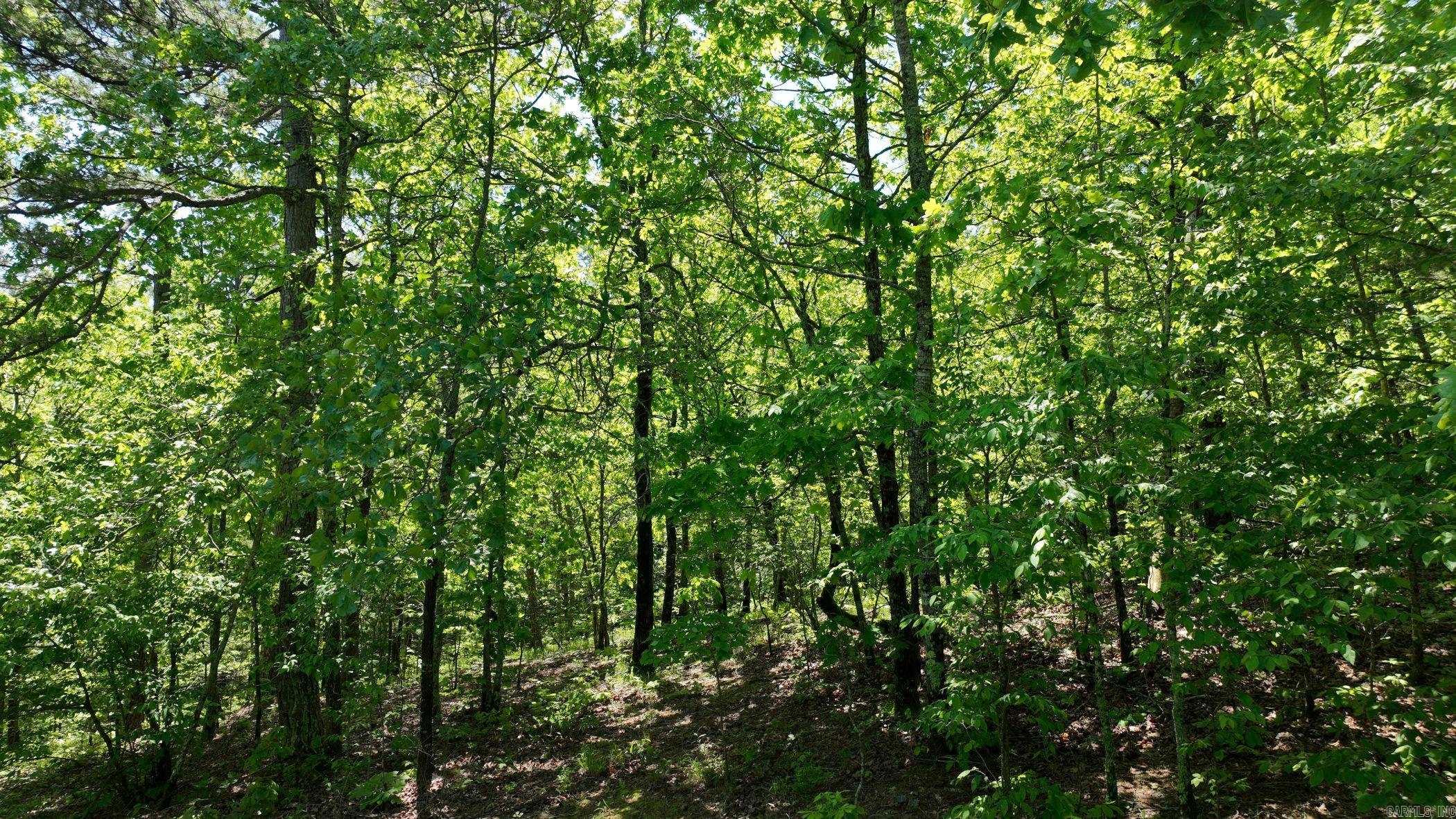 TBD (Lot10)  Heather Lane  Mena, AR