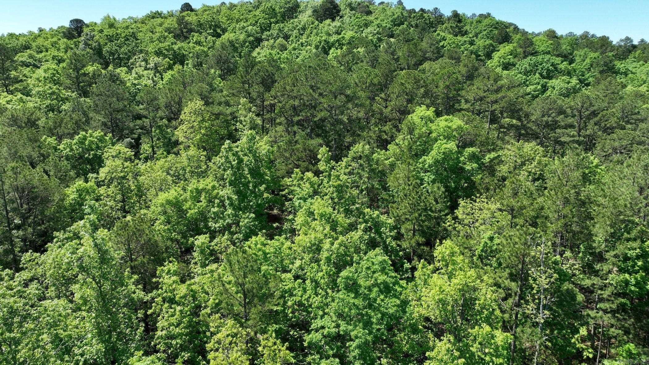 TBD (Lot10)  Heather Lane  Mena, AR