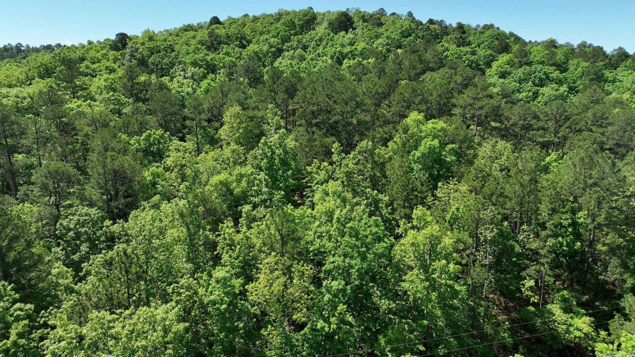 TBD (Lot10)  Heather Lane  Mena, AR