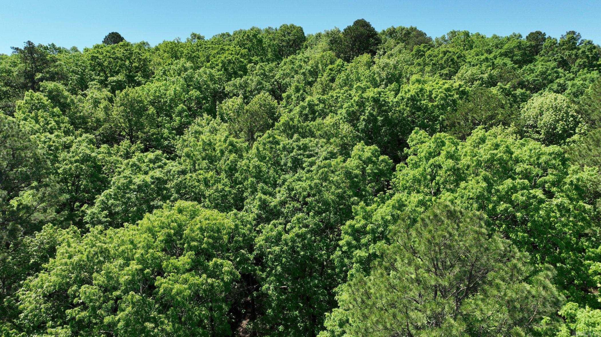 TBD (Lot10)  Heather Lane  Mena, AR