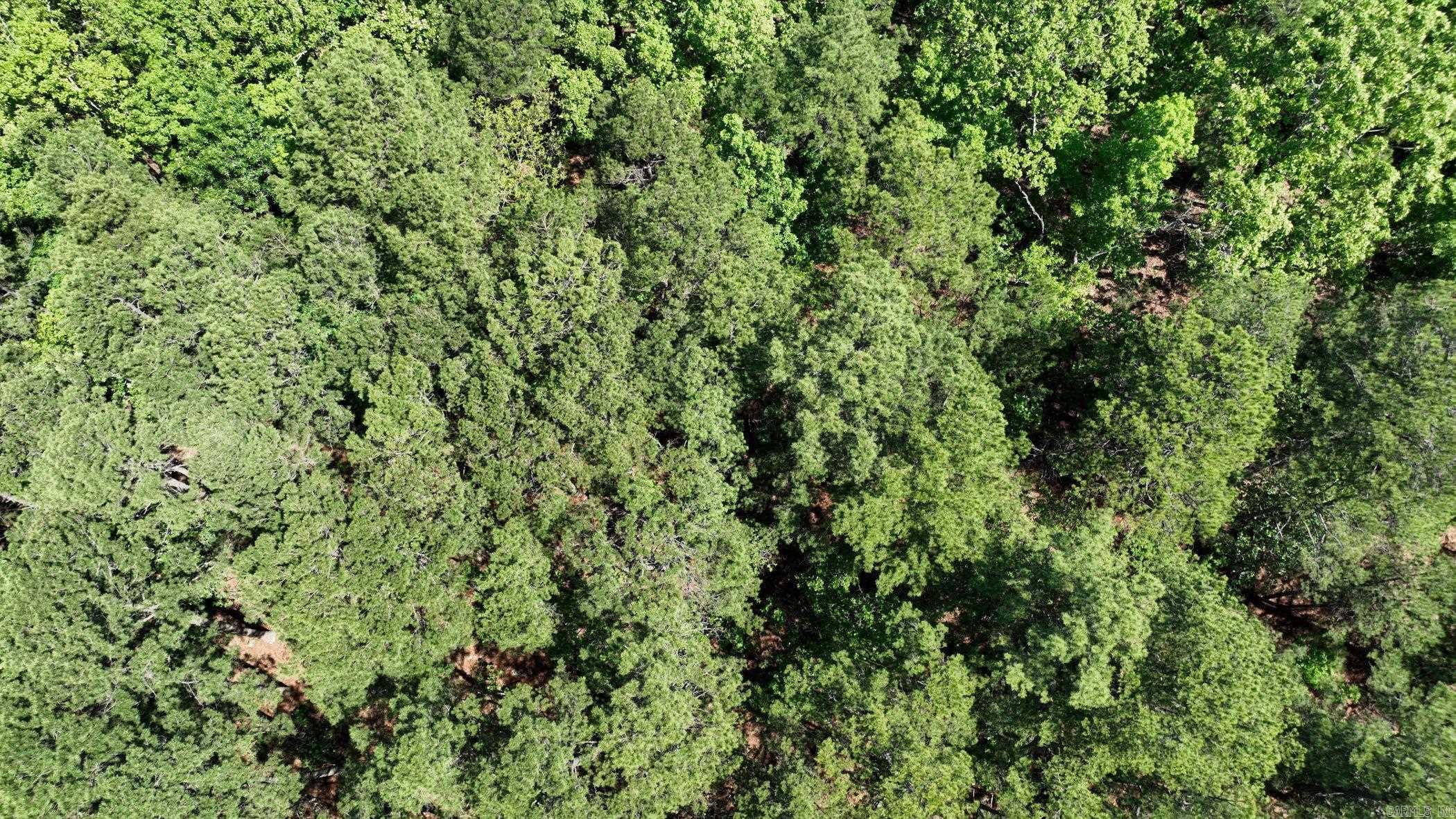 TBD (Lot 11)  Heather Lane  Mena, AR