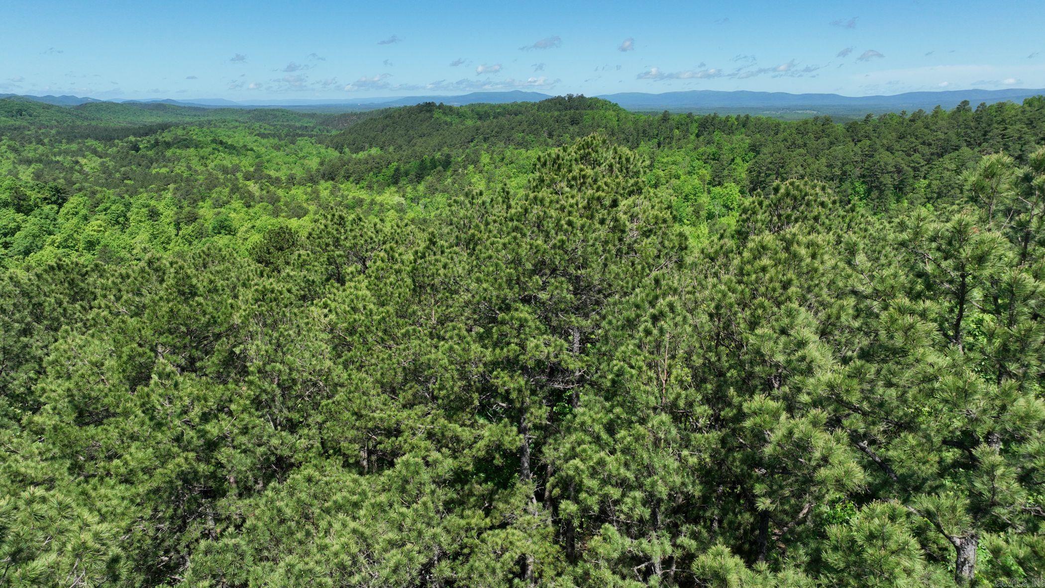 TBD (Lot 12)  Heather Lane  Mena, AR