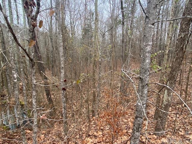 Lot 77  Mustang  Clinton, AR