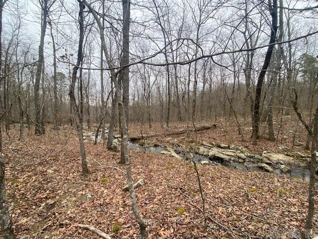 Lot 77  Mustang  Clinton, AR