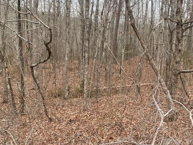 Lot 75  Mustang  Clinton, AR