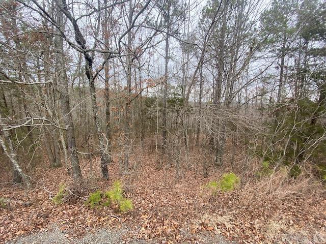 Lot 75  Mustang  Clinton, AR