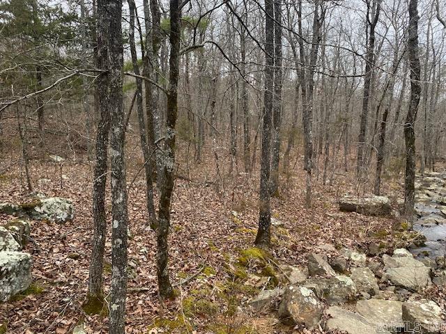 Lot 75  Mustang  Clinton, AR