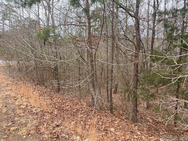 Lot 75  Mustang  Clinton, AR