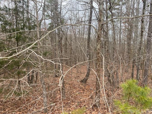 Lot 75  Mustang  Clinton, AR