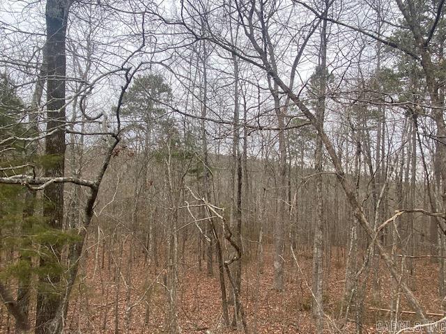 Lot 75  Mustang  Clinton, AR