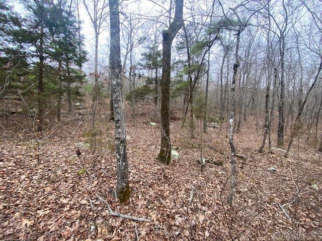 Lot 76  Mustang  Clinton, AR