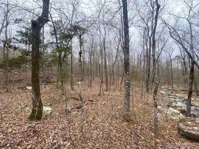 Lot 76  Mustang  Clinton, AR