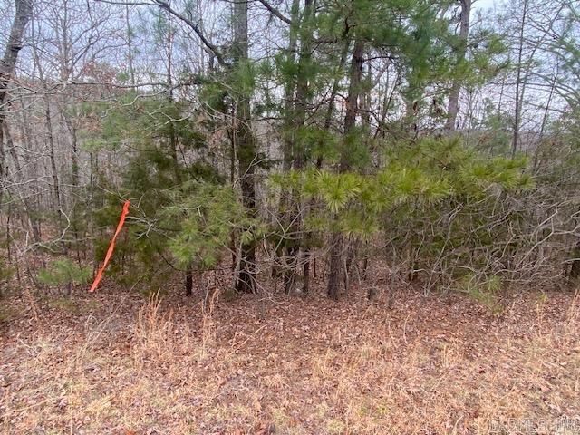 Lot 76  Mustang  Clinton, AR