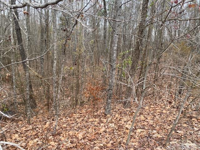 Lot 76  Mustang  Clinton, AR