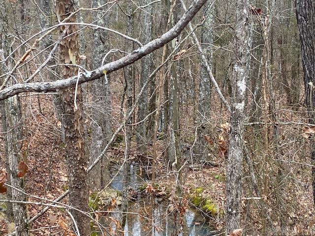 Lot 76  Mustang  Clinton, AR