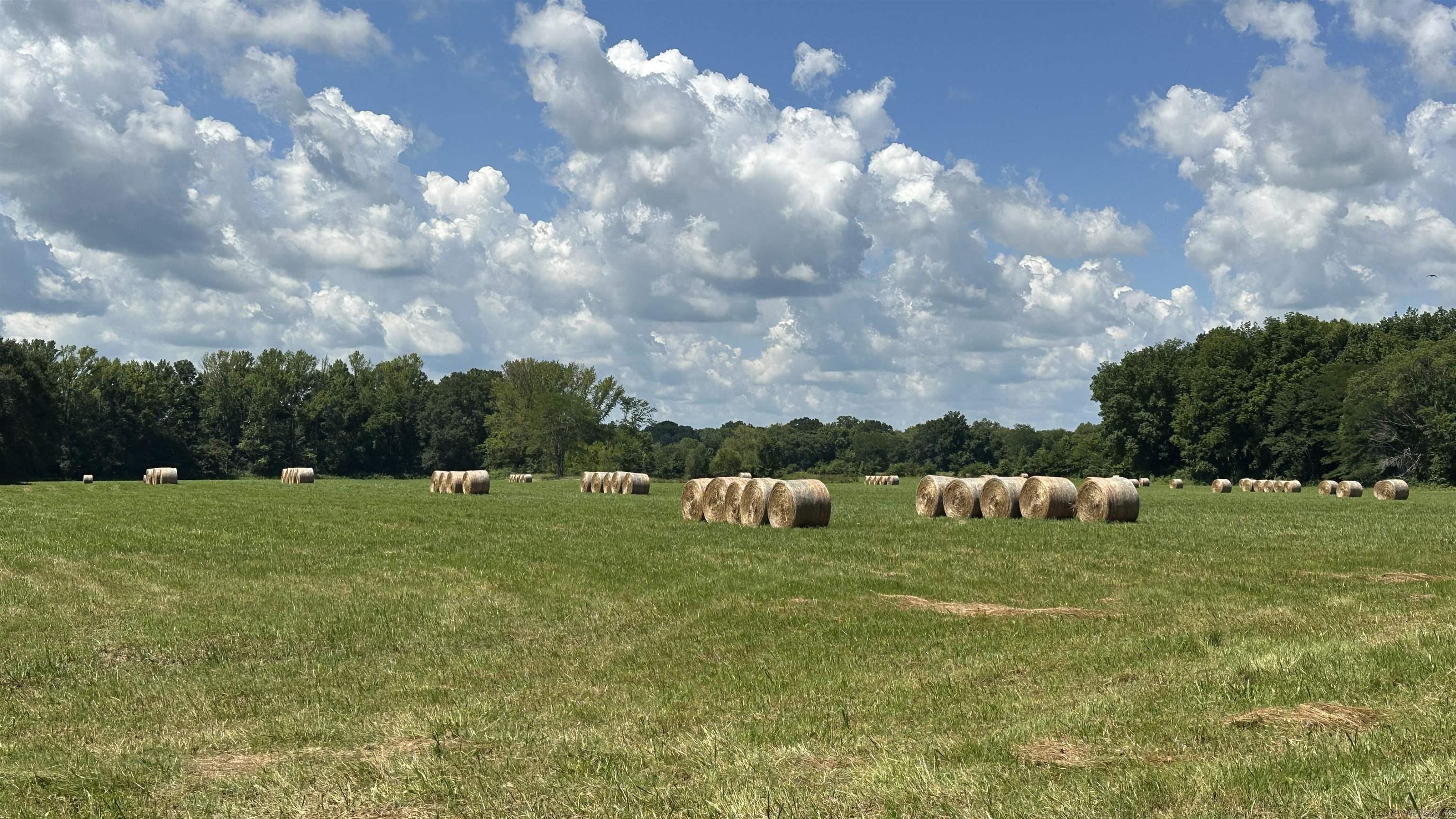 000 Fairview Rd.  Searcy, AR
