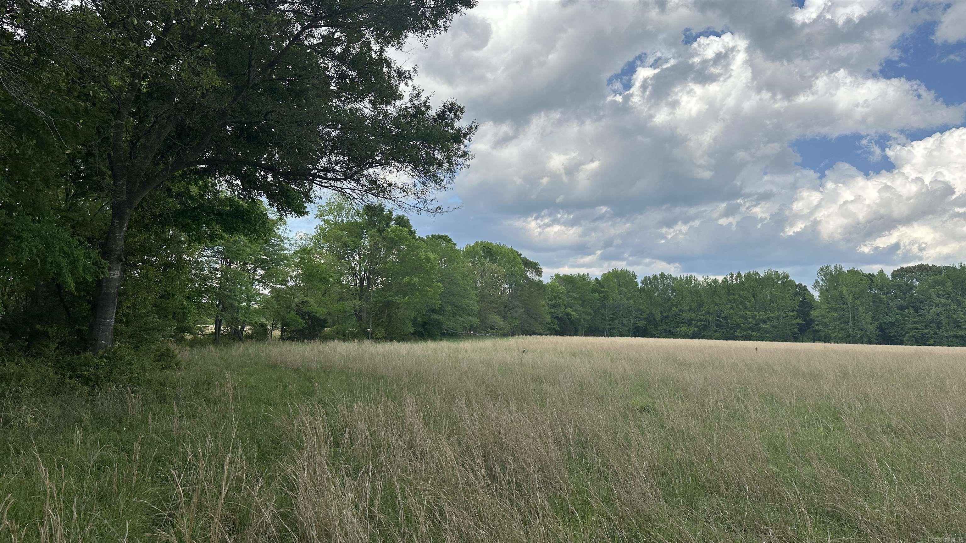 000  Fairview Rd.  Searcy, AR