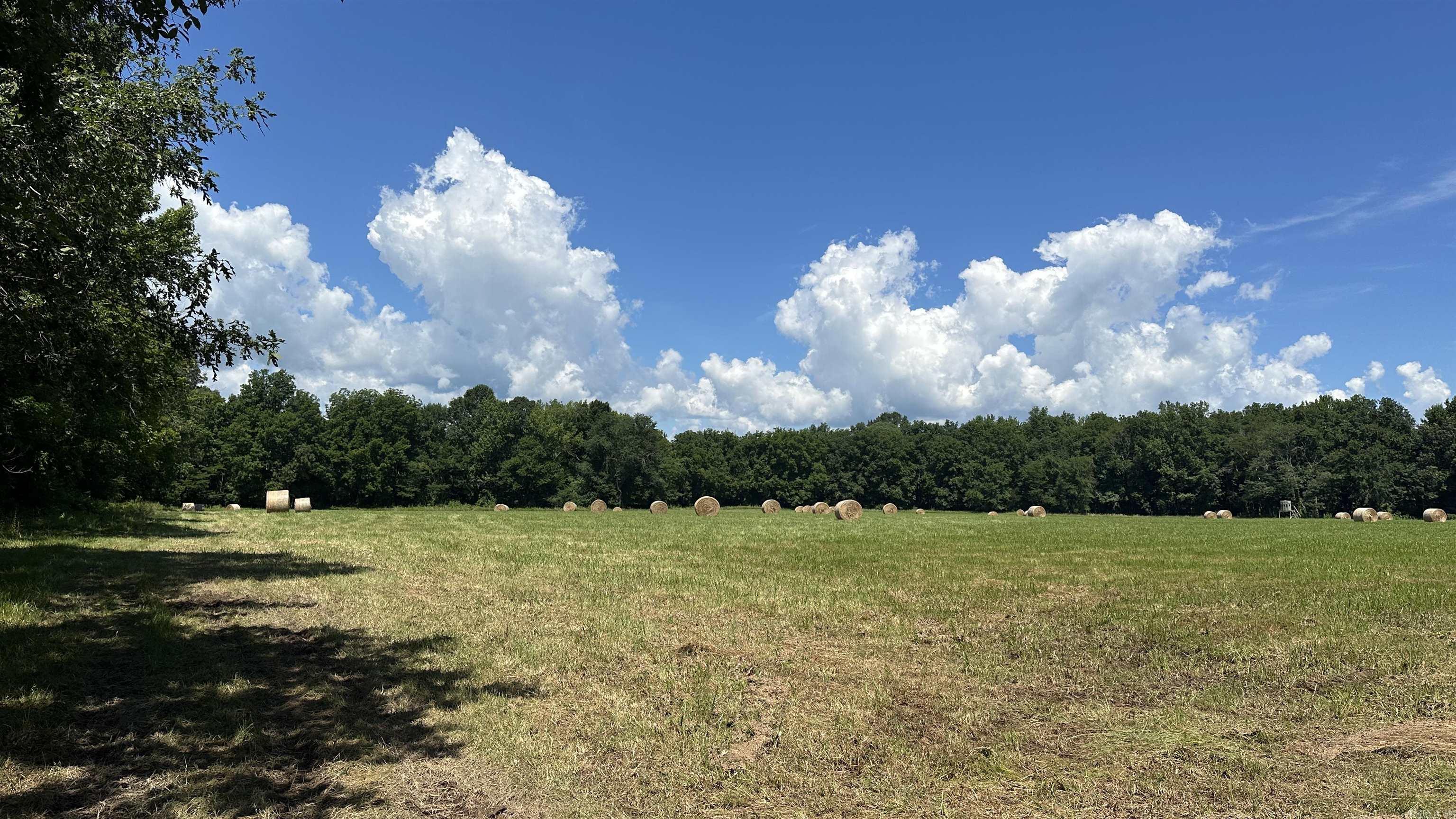 000 Fairview Rd.  Searcy, AR