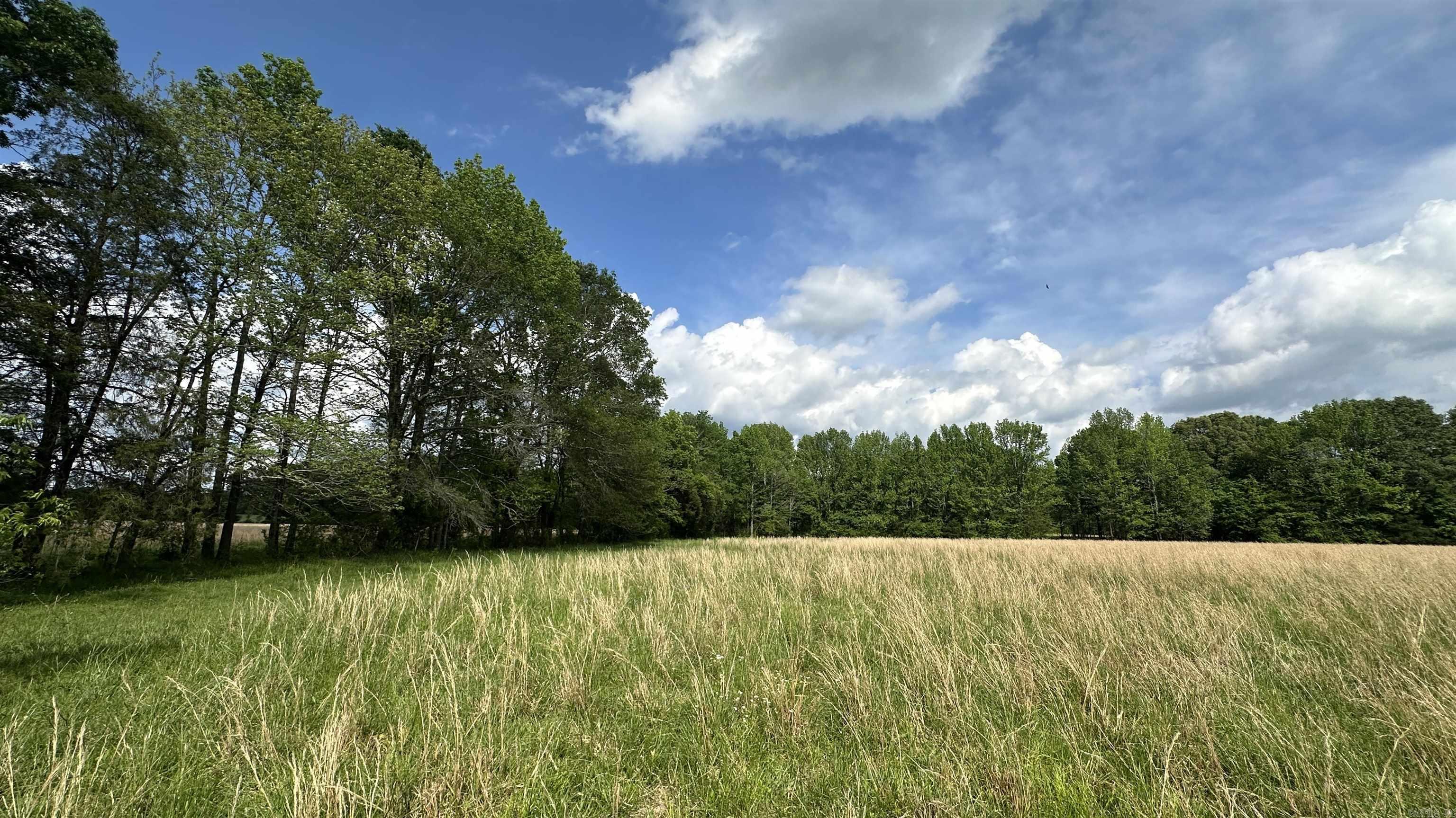 000  Fairview Rd.  Searcy, AR