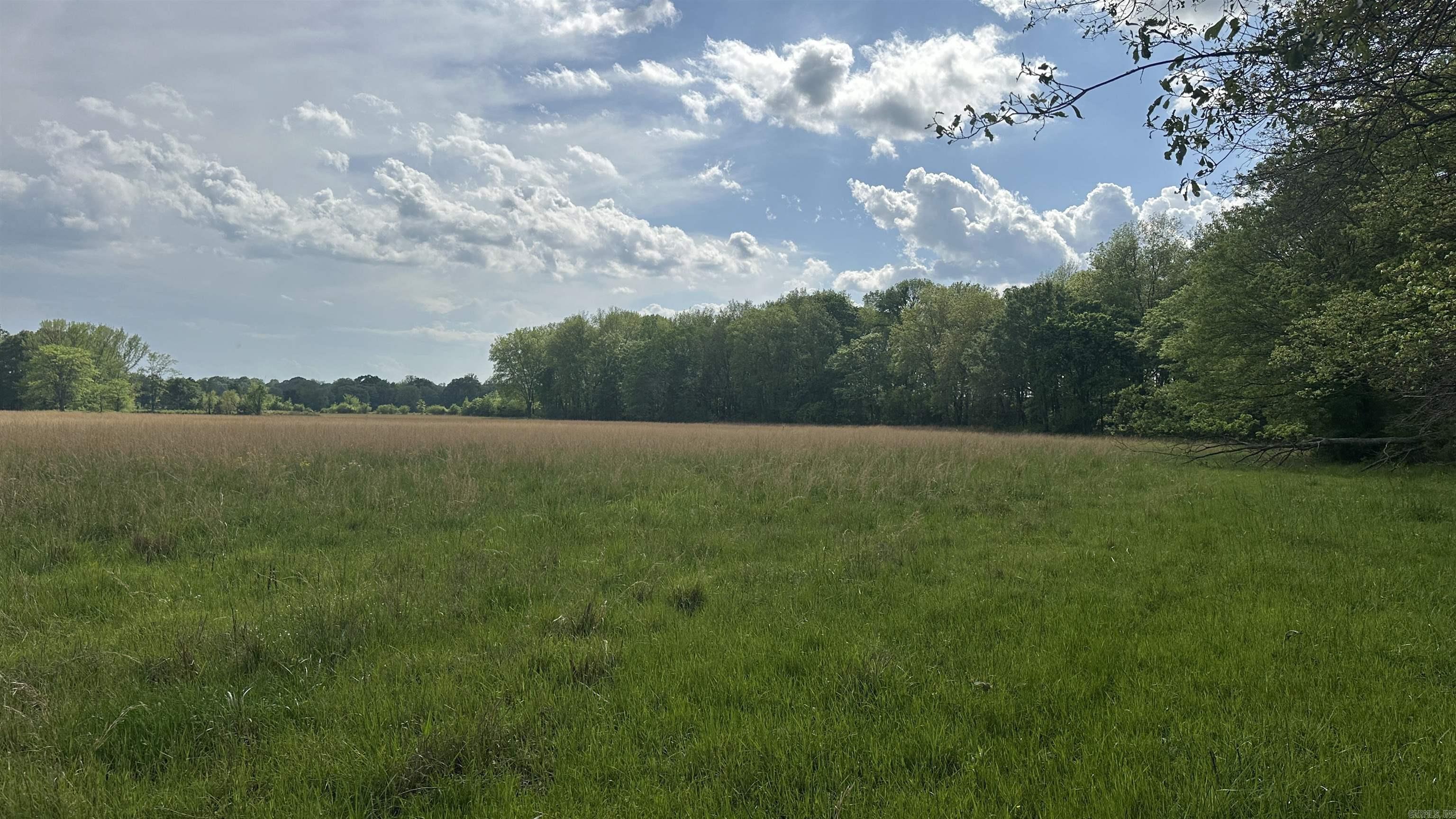 000  Fairview Rd.  Searcy, AR