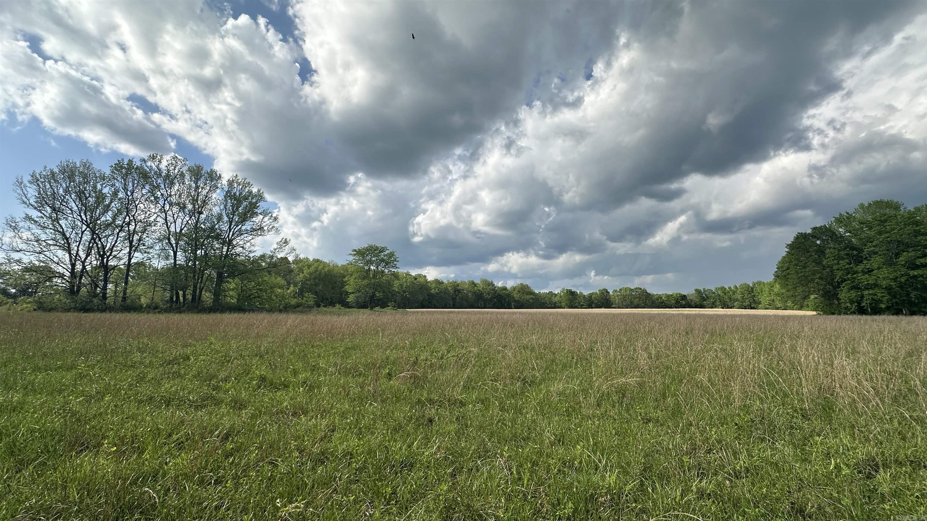 000  Fairview Rd.  Searcy, AR