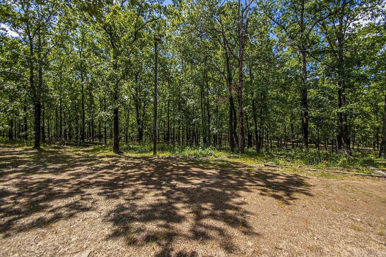 68 Tanner Drive Bigelow, AR 72016