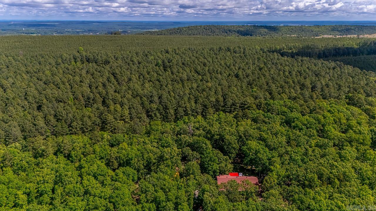 68 Tanner Drive Bigelow, AR 72016