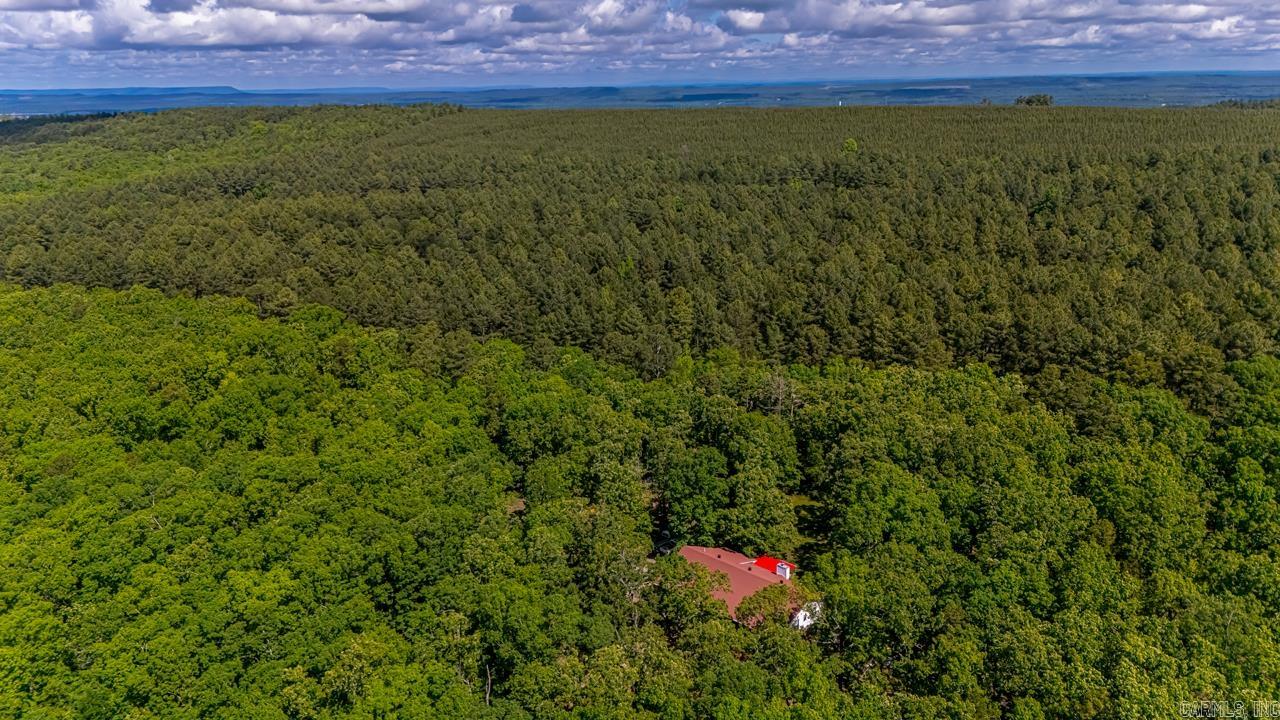 68 Tanner Drive Bigelow, AR 72016