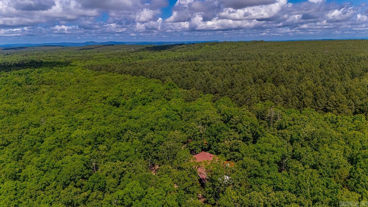 68 Tanner Drive Bigelow, AR 72016