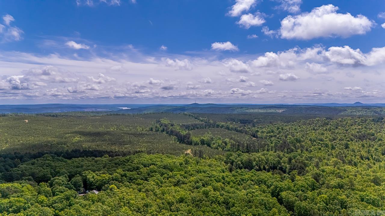68 Tanner Drive Bigelow, AR 72016