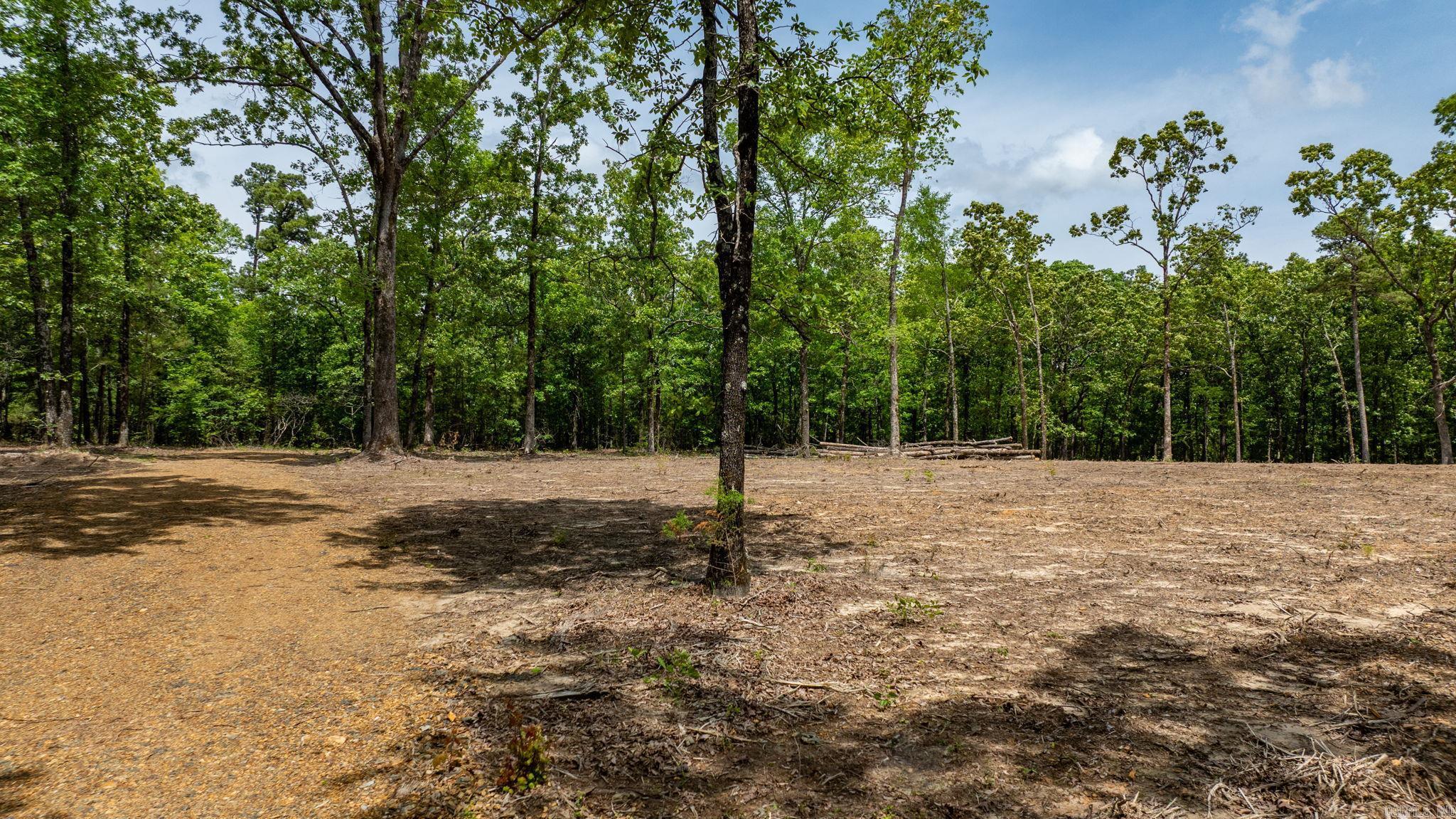 36982  AR 300  Bigelow, AR