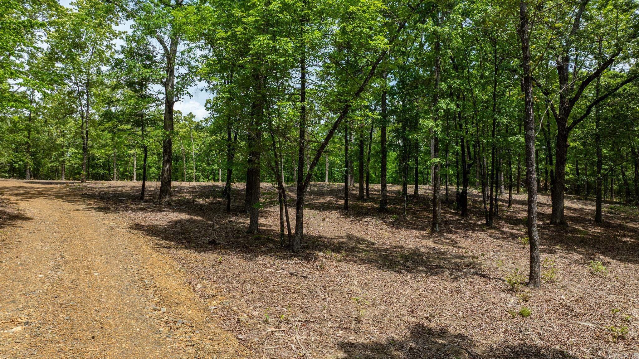36982  AR 300  Bigelow, AR