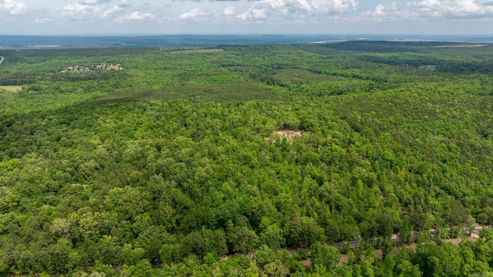 36982  AR 300  Bigelow, AR