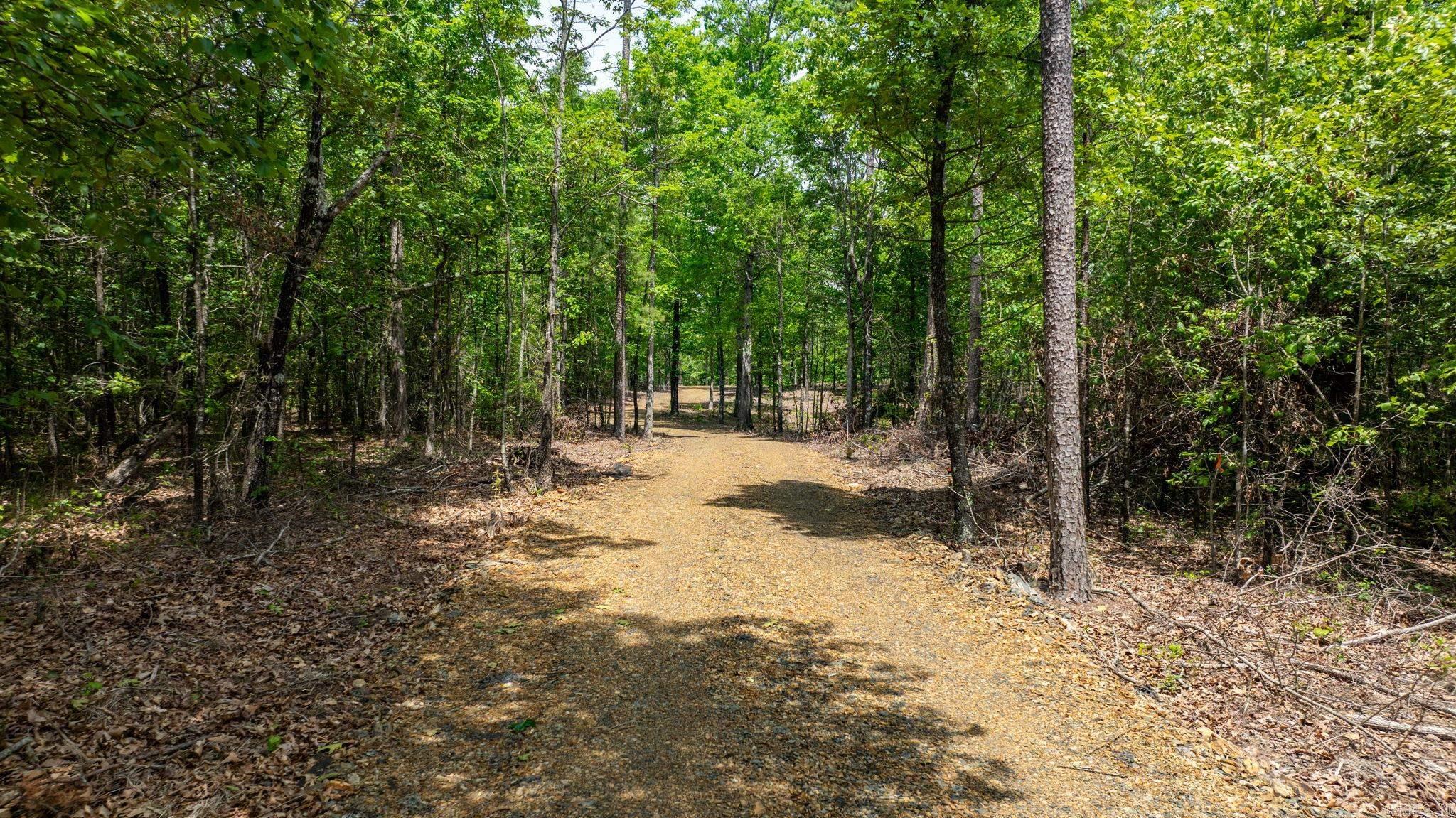 36982  AR 300  Bigelow, AR