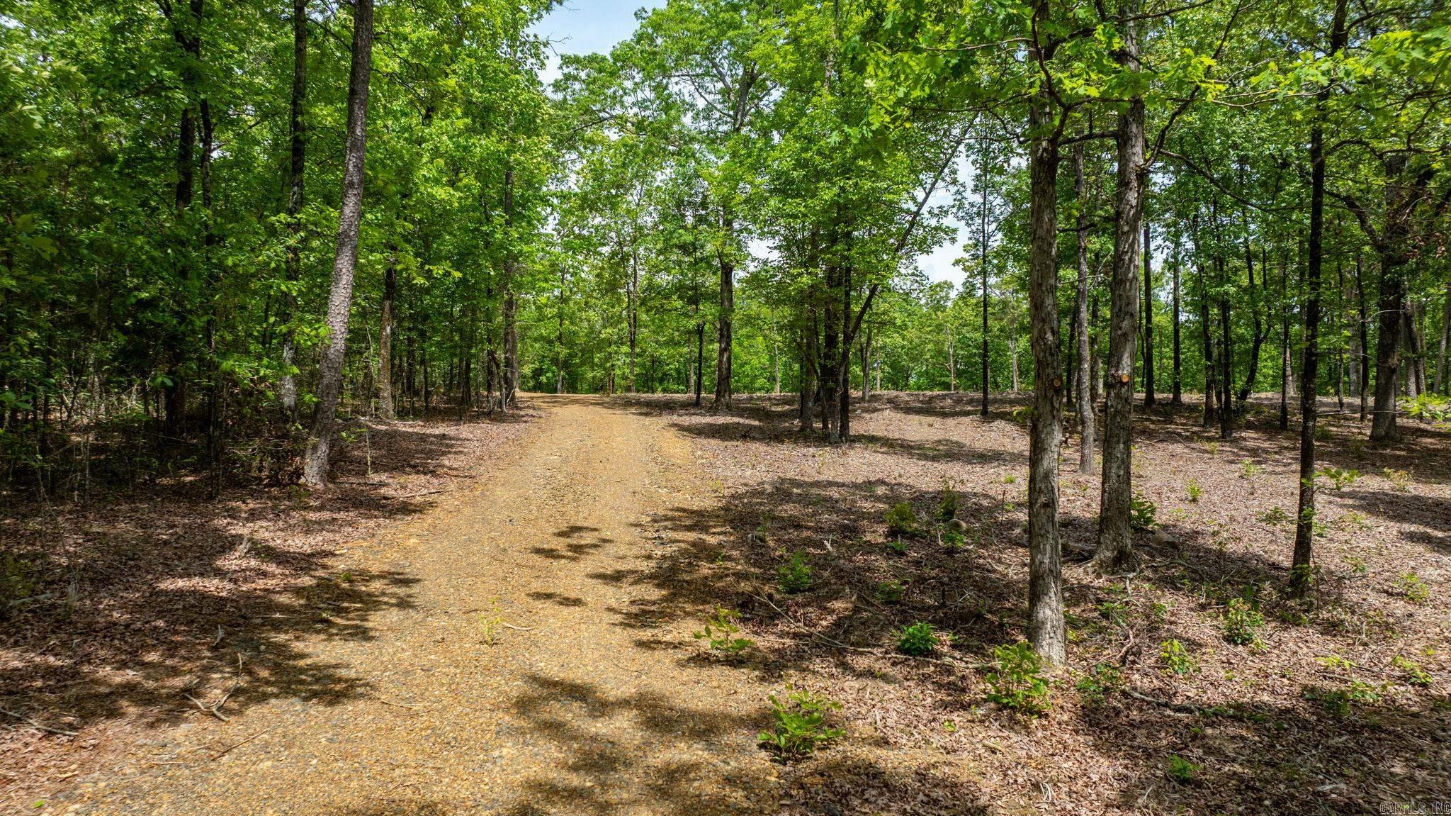 36982  AR 300  Bigelow, AR