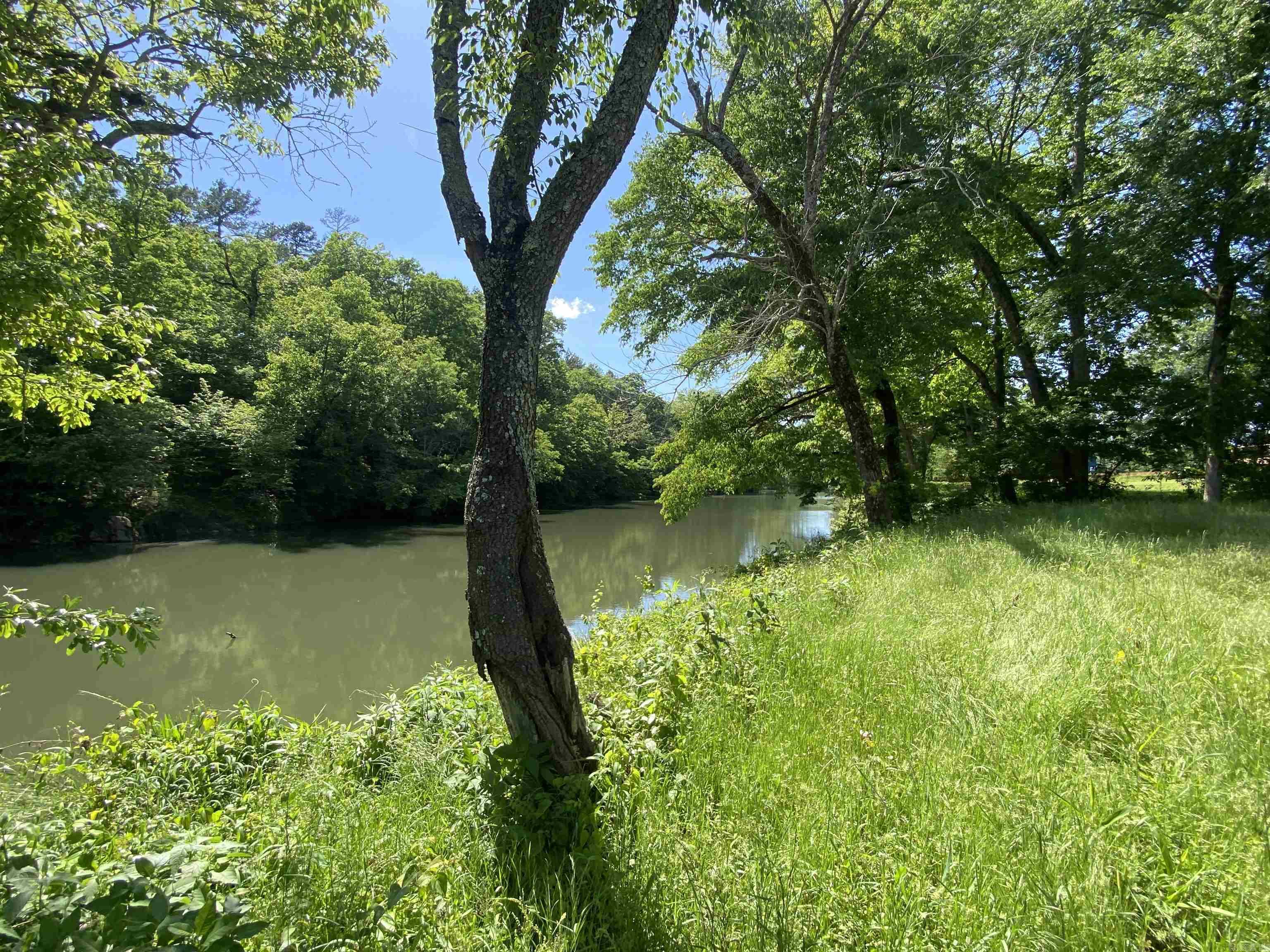 92  Reva's  Story, AR