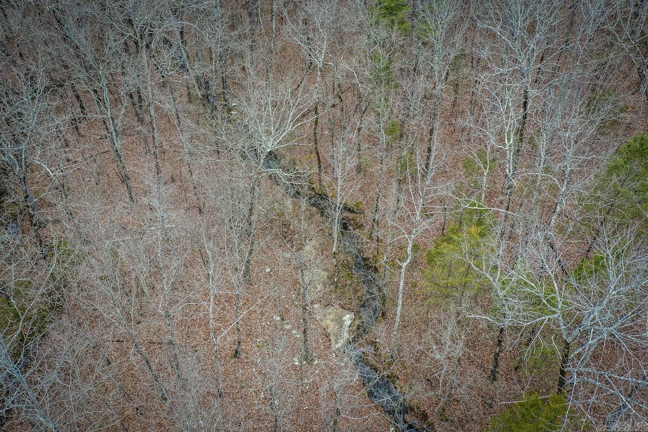 00  Florence  Edgemont, AR