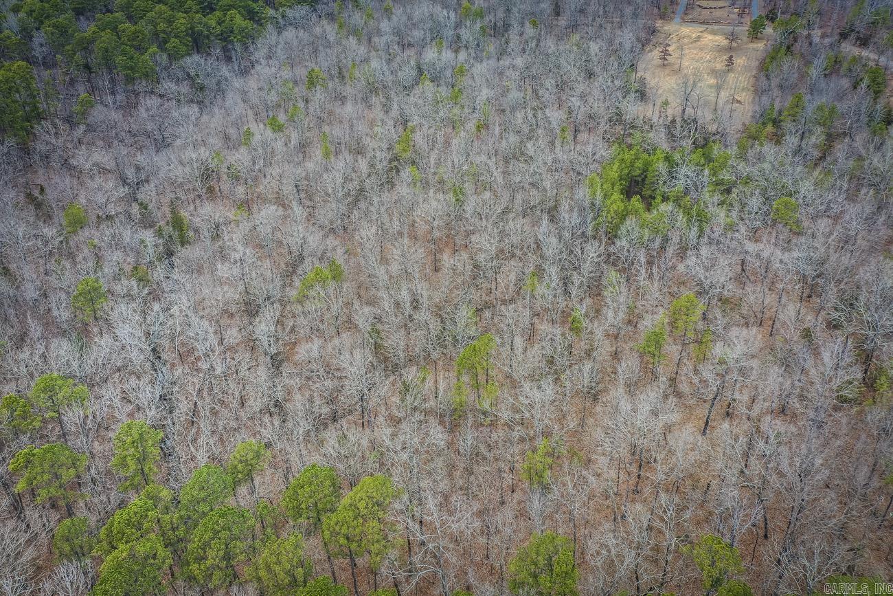 00  Florence  Edgemont, AR