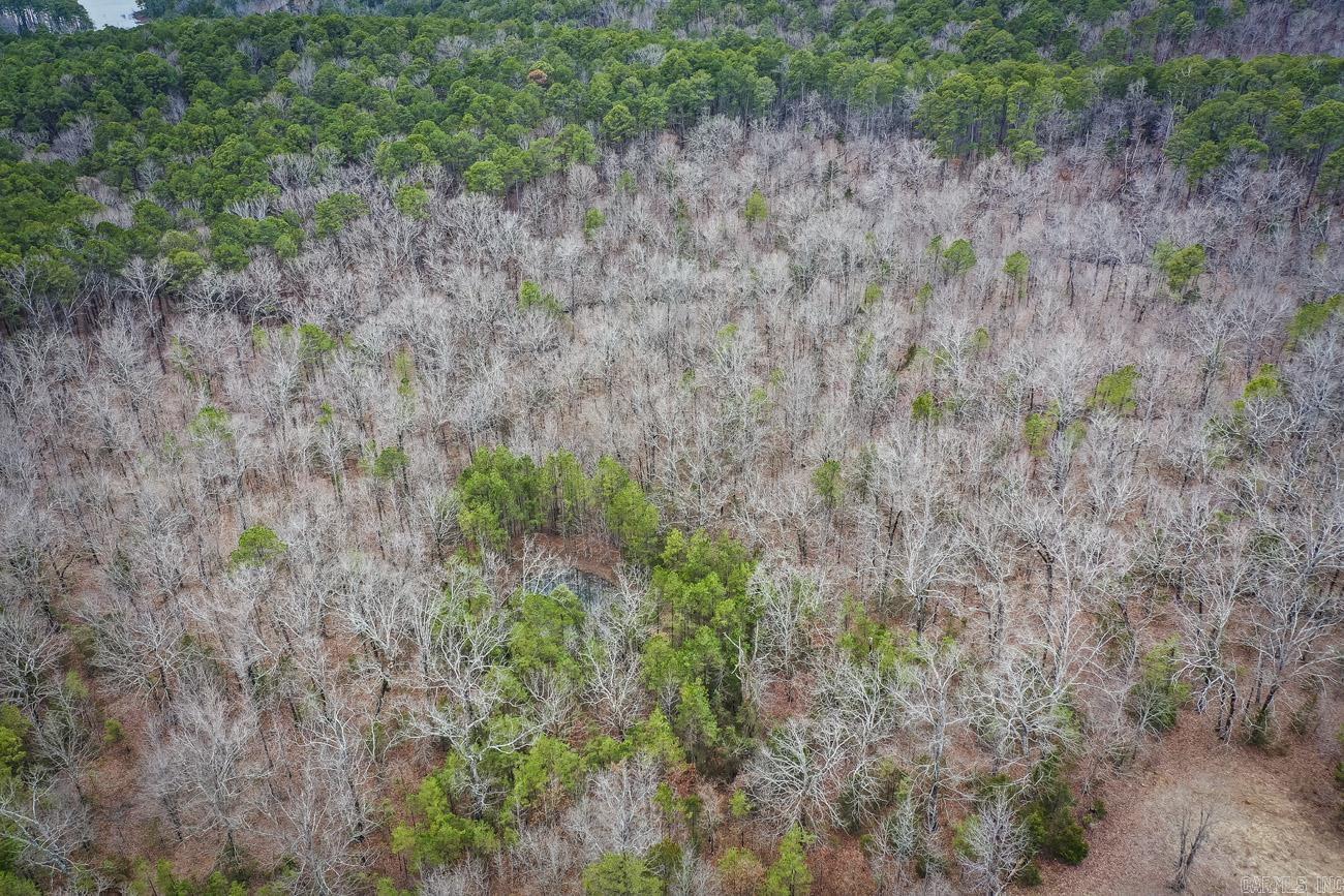 0000  Florence  Edgemont, AR
