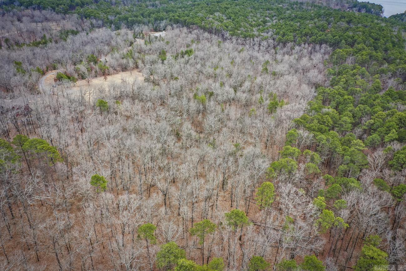0000  Florence  Edgemont, AR