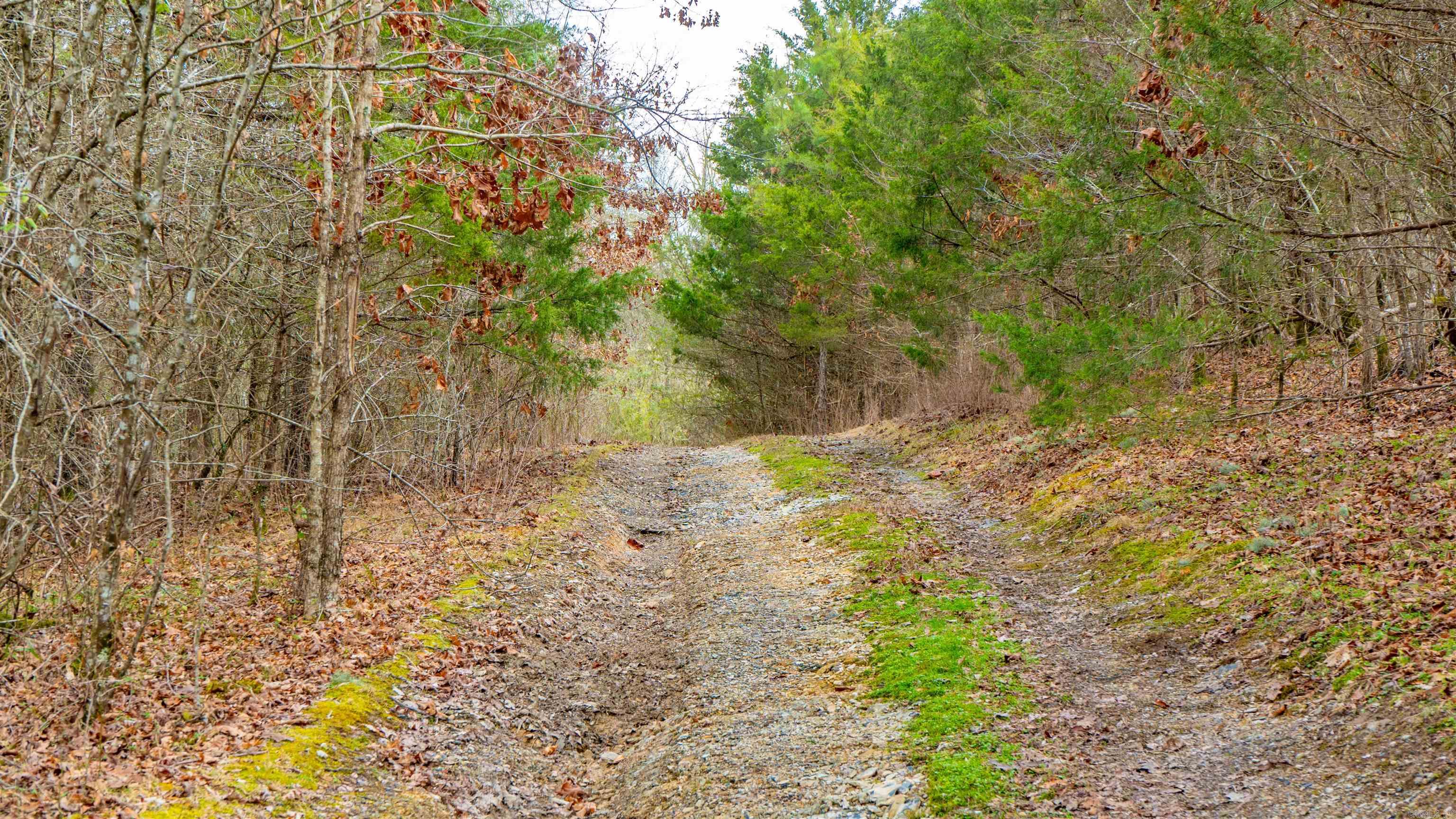 169  Rock Springs  Jessieville, AR